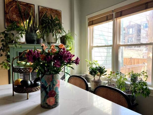 LeFevere's kitchen brings her garden inside, next to a pastel vintage pie cabinet. (Photo courtesy of Allie LeFevere)