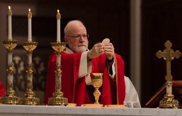 Cardinal O'Malley leads Palm Sunday mass at the Cathedral of the Holy Cross in Boston. (Libby O'Neill/Boston Herlad)