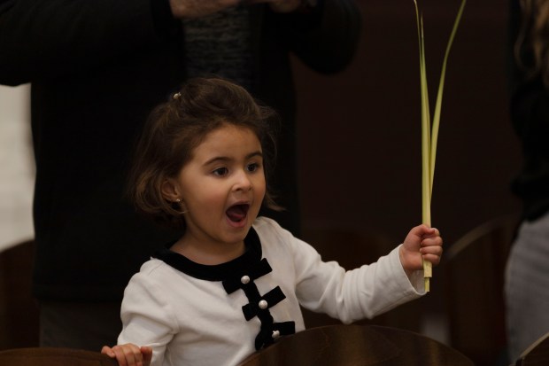 Cecilia Lafuente, 3, from Everett, holds onto a palm leaf during Palm Sunday mass at the Cathedral of the Holy Cross in Boston.