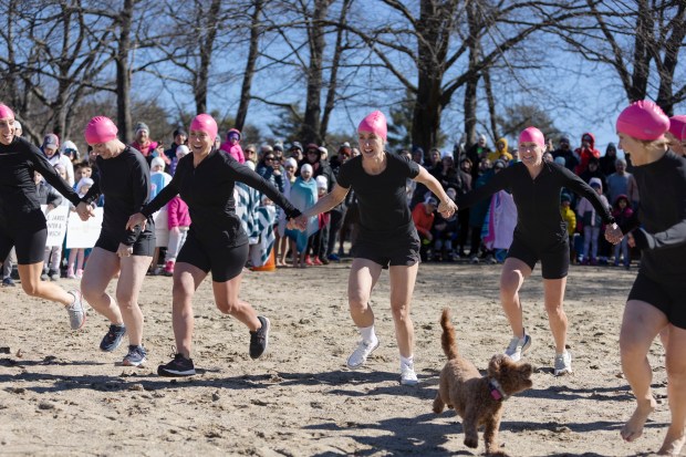 "Plunge for Elodie" Committee members hold hands as they run toward the water at Morses Pond in Wellesley. (Libby O'Neill/Boston Herald)